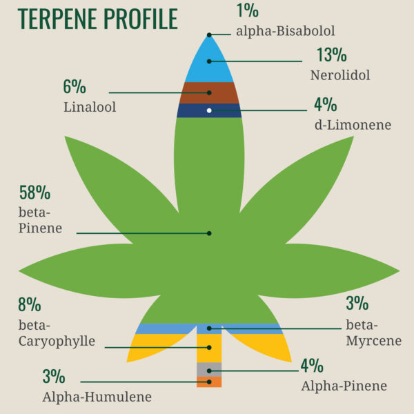 An introduction to the world of terpenes